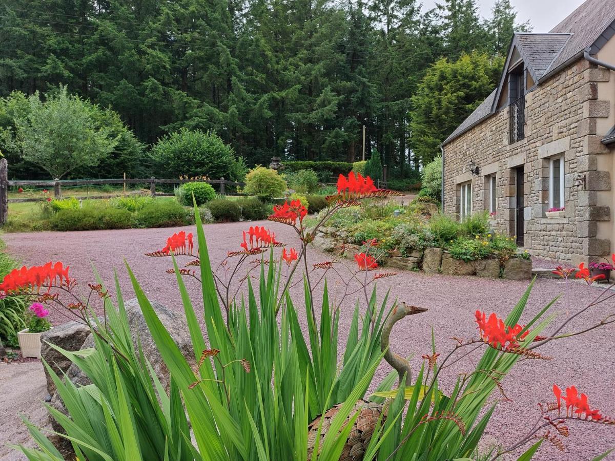 Le Petit Bois Normand - Chambre D'Hote Bed & Breakfast Champ-du-Boult Exterior photo